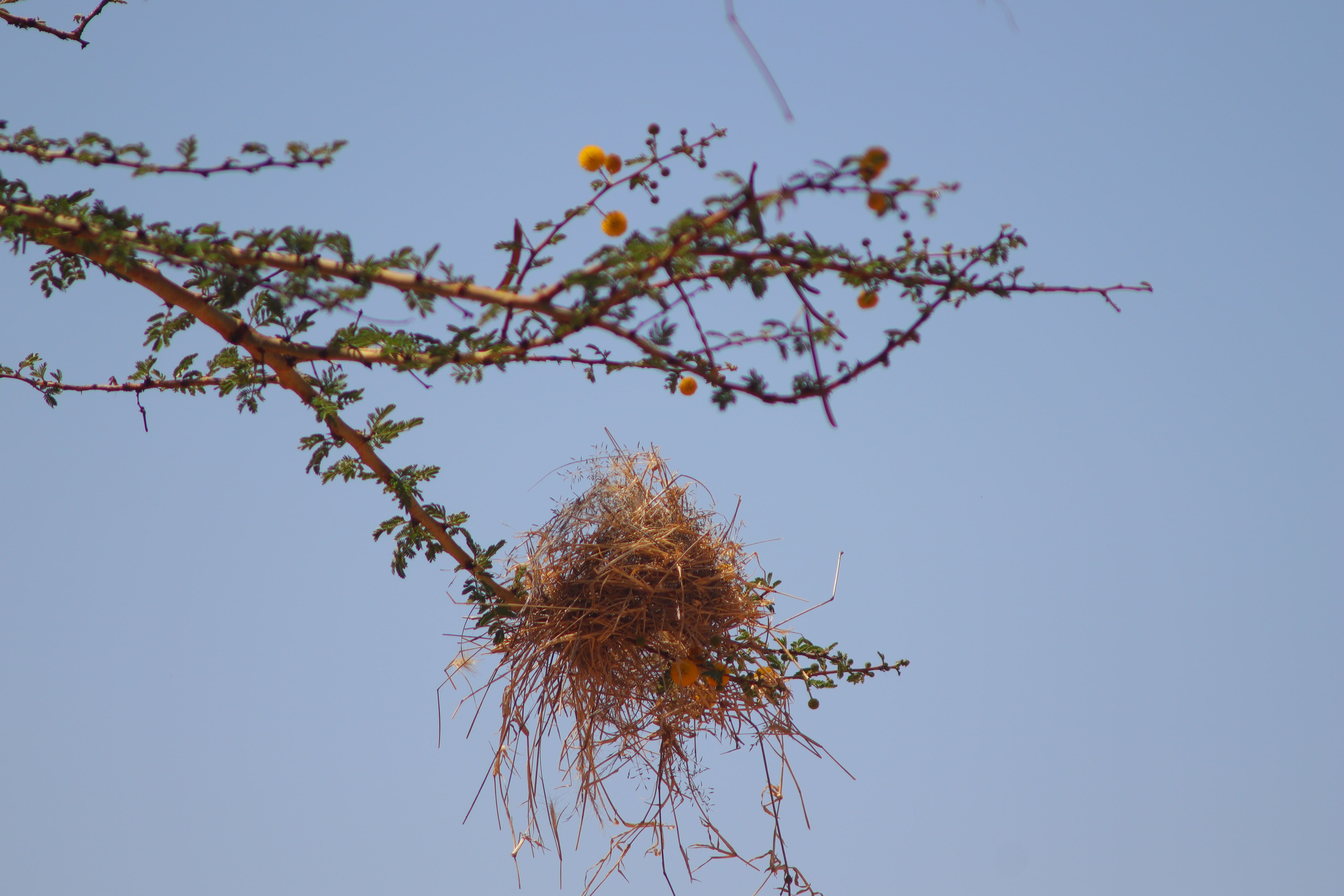 Peacebuilding & Human–Nature Coexistence