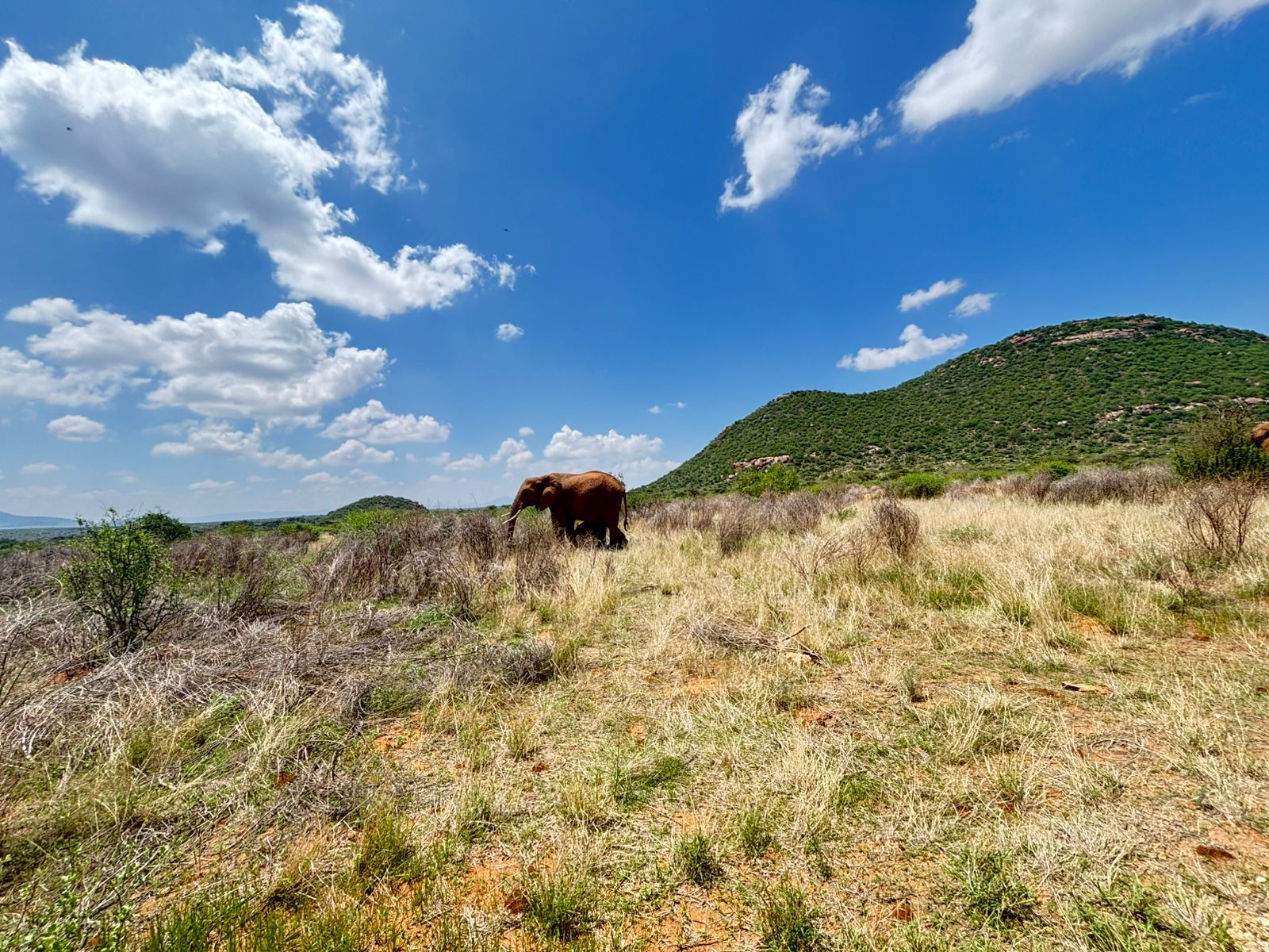 Landscape Governance