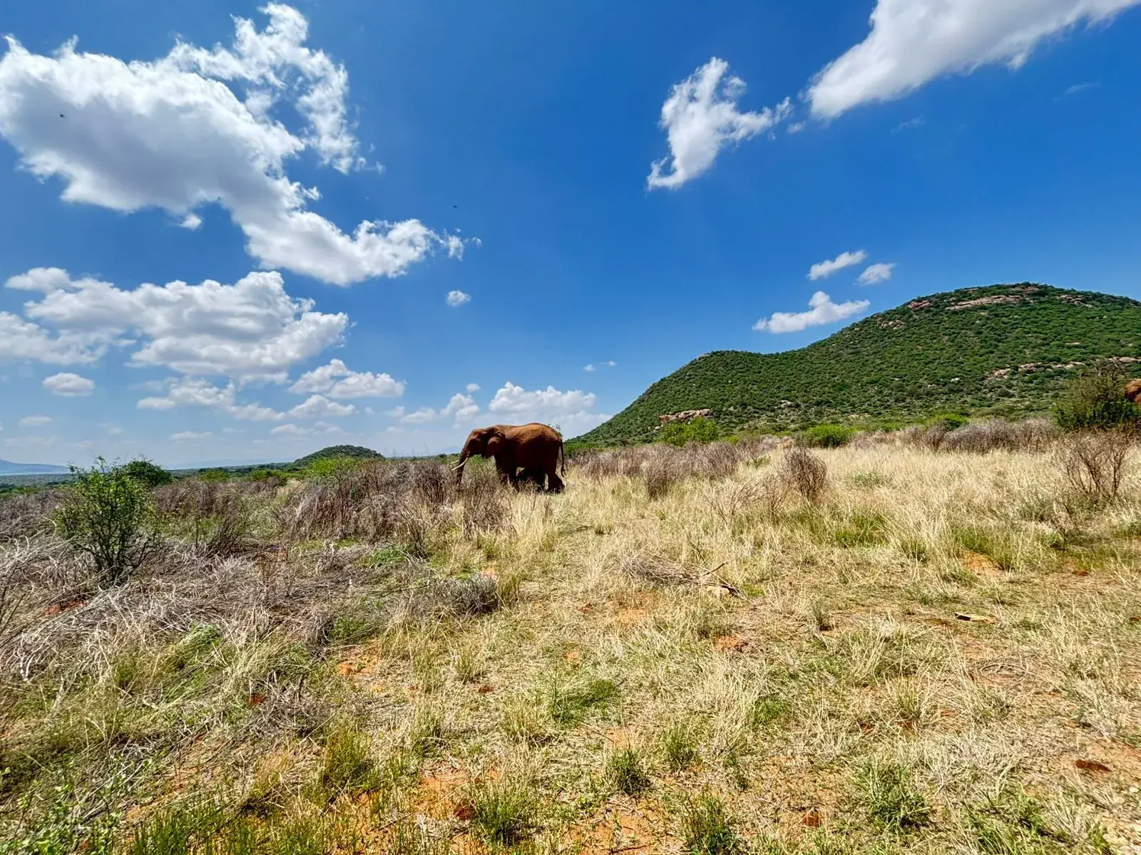 Conservation landscapes of Laikipia North