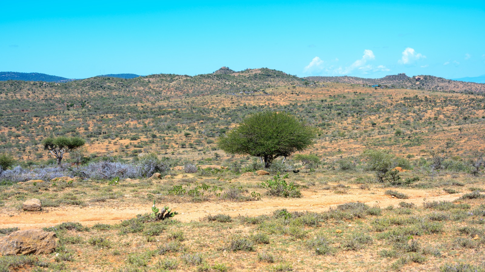 Landscape Governance