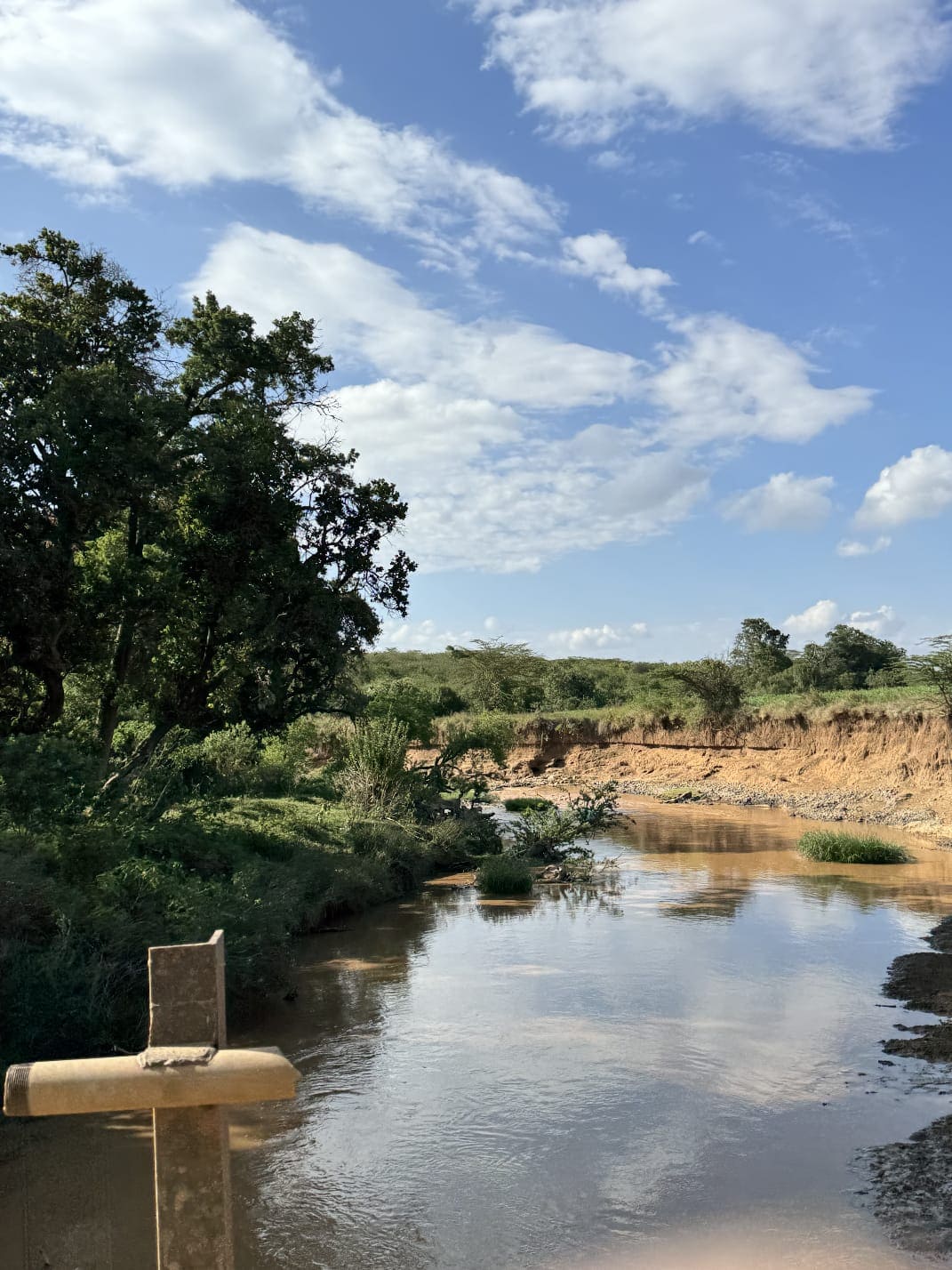 Climate Resilience & Biodiversity Protection